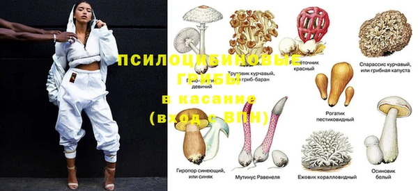 кокс Алексин