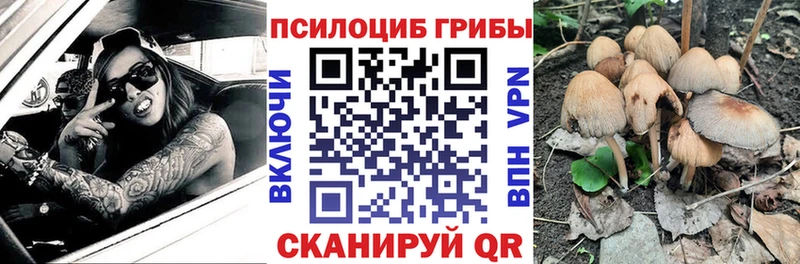 Псилоцибиновые грибы Cubensis  Дубна 